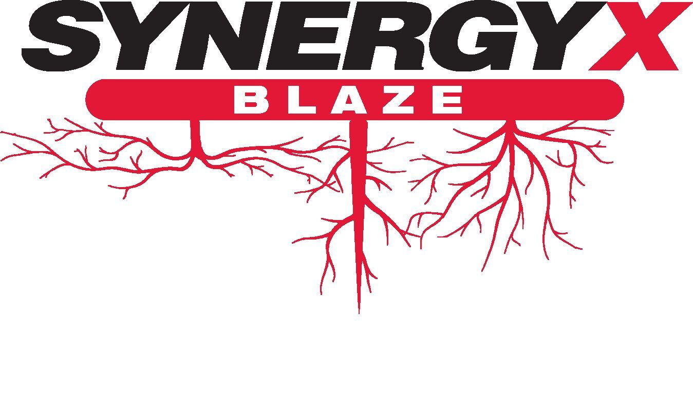 KF SynergyX Blaze HD2