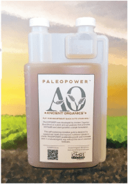 Paleopower